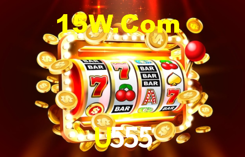 Premium Interface U555